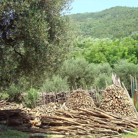 הוילה Teolo Il Castagneto מראה חיצוני תמונה